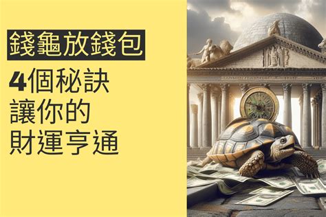 金龜擺放位置|錢龜怎麼放？財運亨通的擺放學問